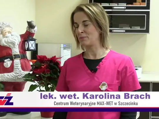 W Szczecinku przed świętami dr Karolina Brach radzi: czego nie podawać psom i kotom oraz jakie są bezpieczne alternatywy