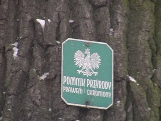 Wiarusy na szlaku