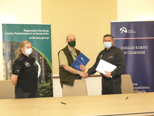 Więźniowie będa pracować w lasach