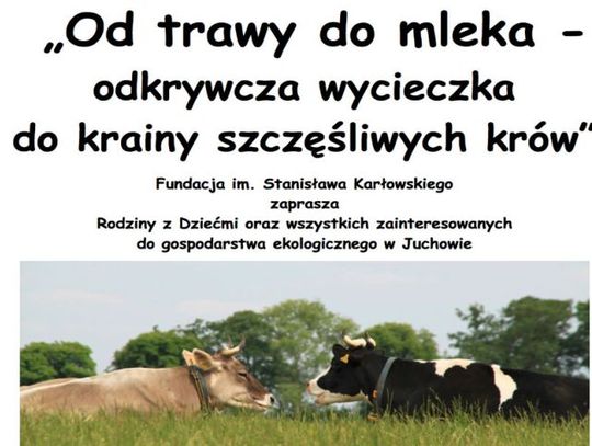Zaproszenia