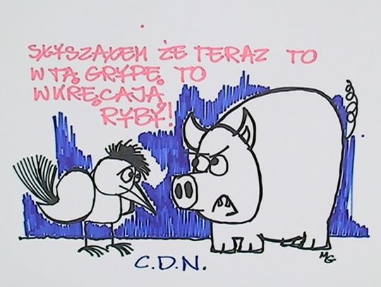 Zenek ma głos