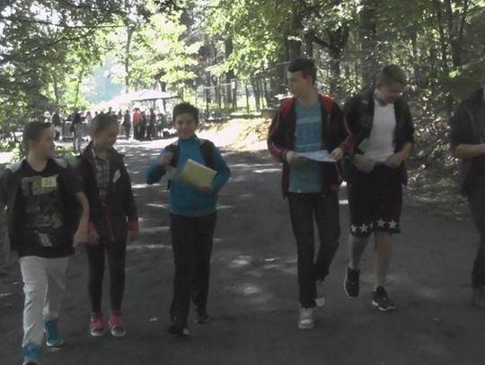 Zorientowany Matematyk