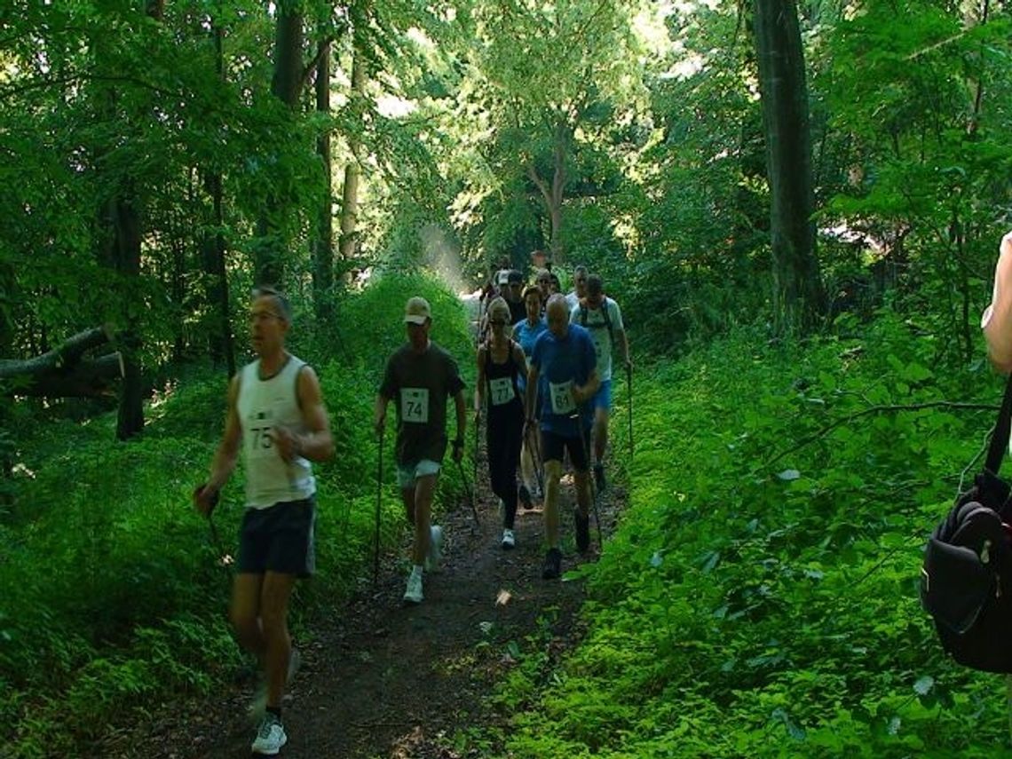 Bieganie z naturą