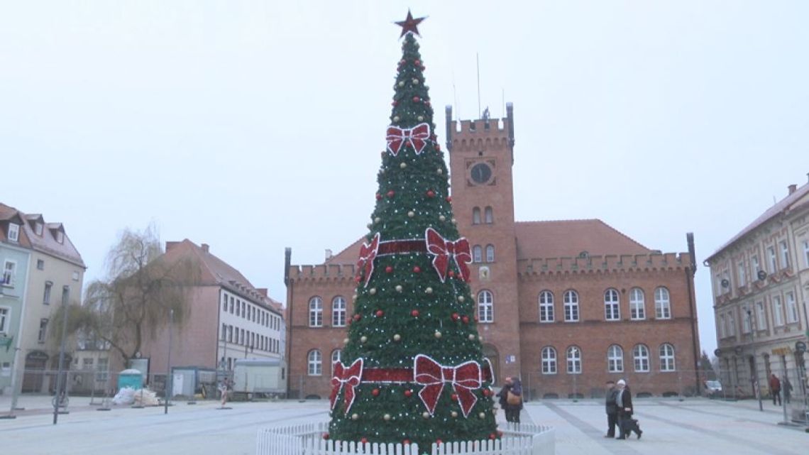 Choinka już jest