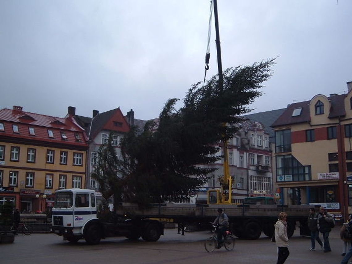 Choinka na Placu Wolności