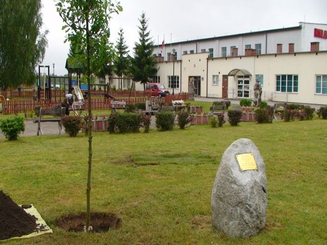 Dąb Wolności