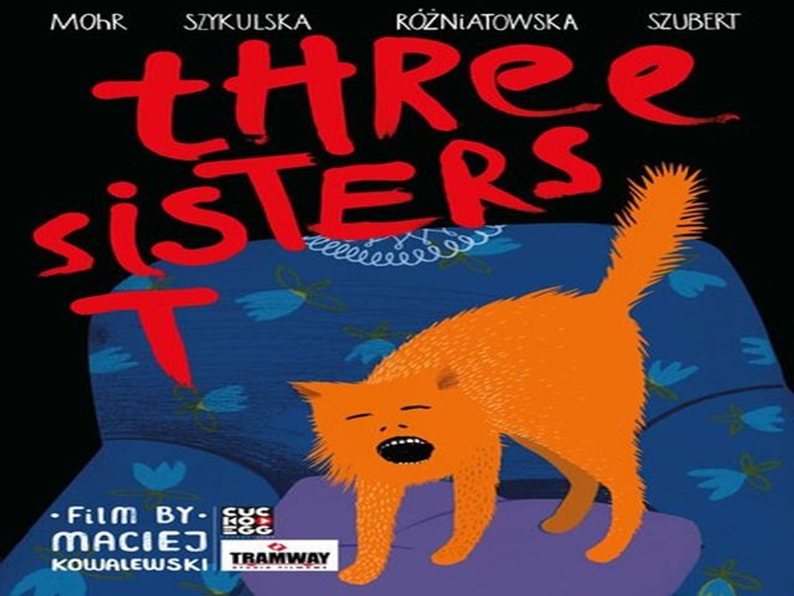 DKF zaprasza