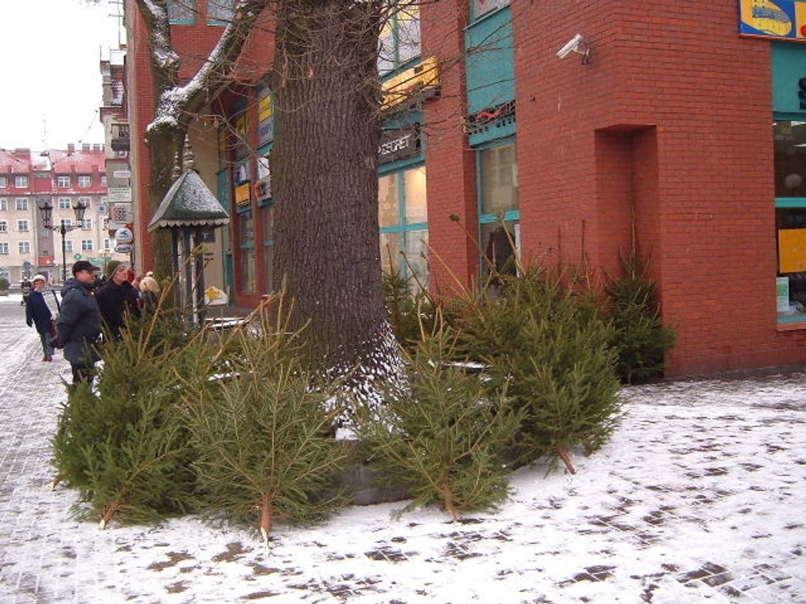 Do wyboru i... rozdzaju