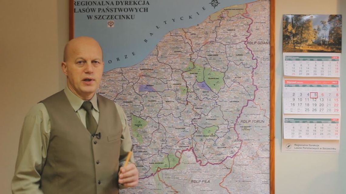 Dokarmianie zwierząt