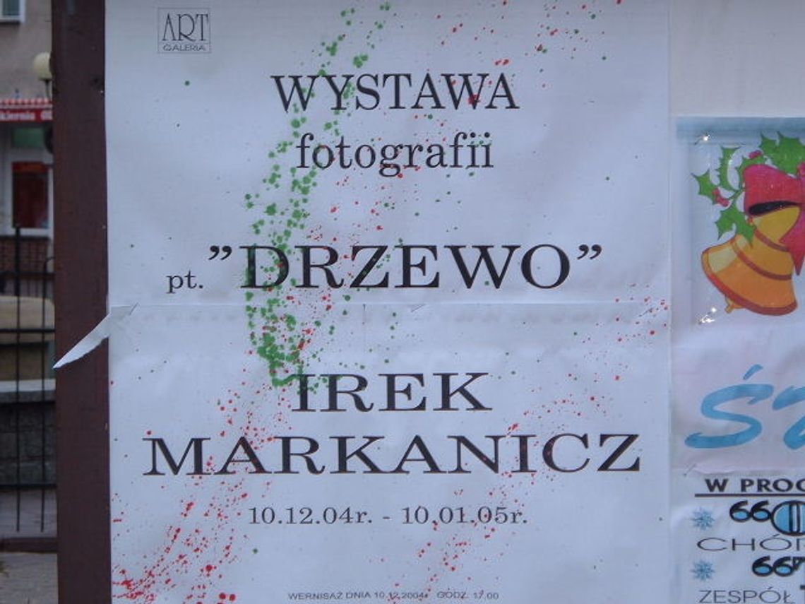 Drzewo w ART Galerii