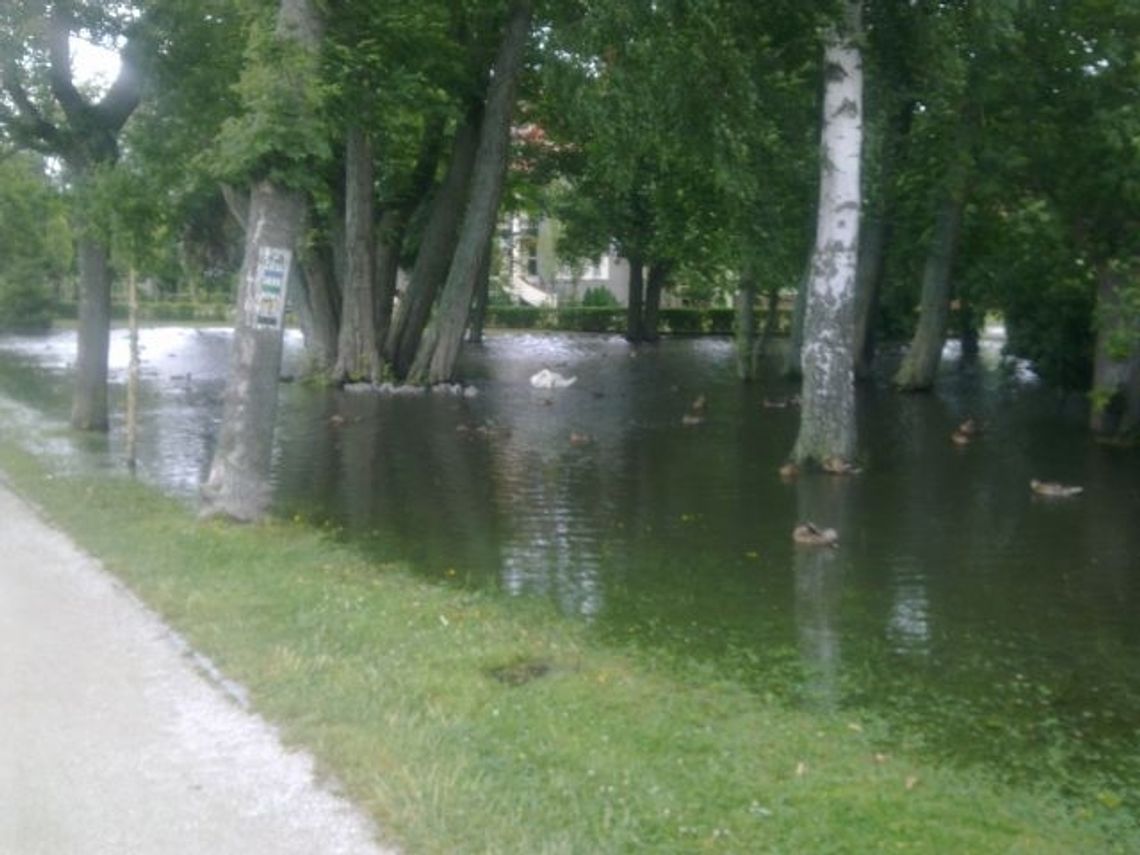 Duża woda