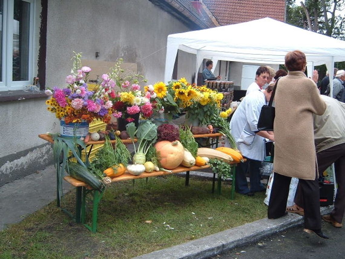 Działkowe dożynki