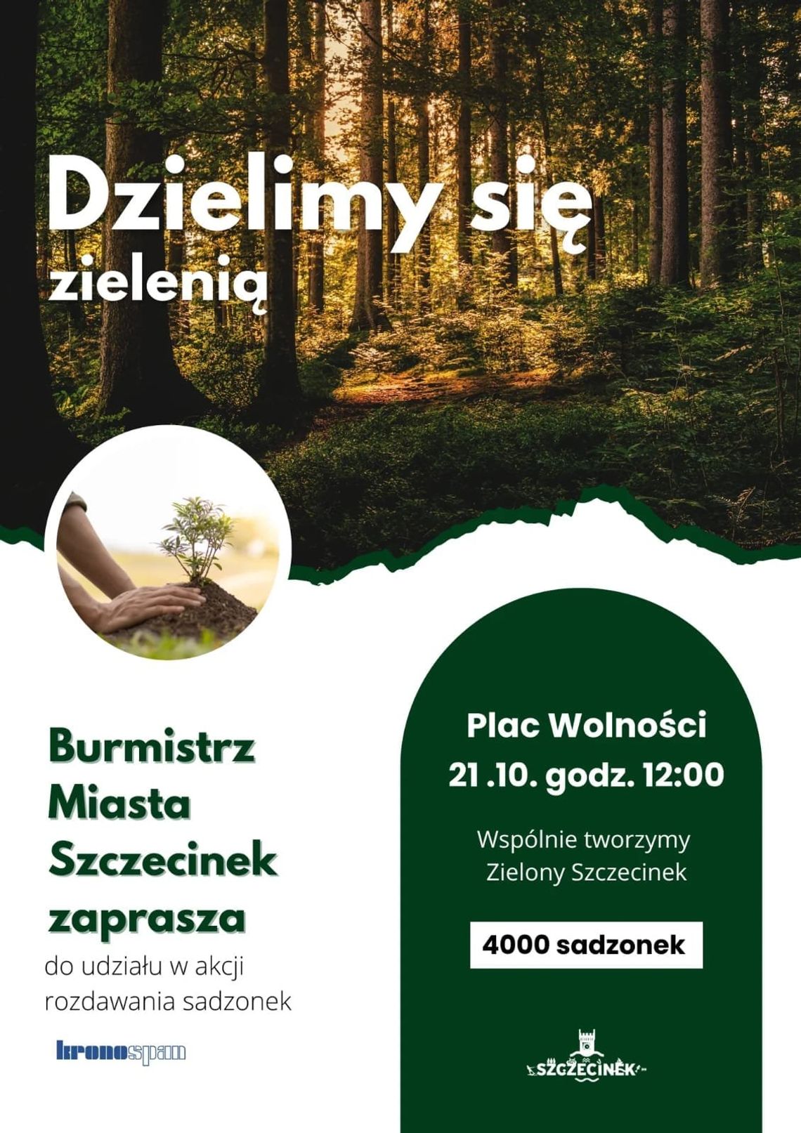 Dzielimy się zielenią - bezplatne sadzonki drzew na Placu Wolności 