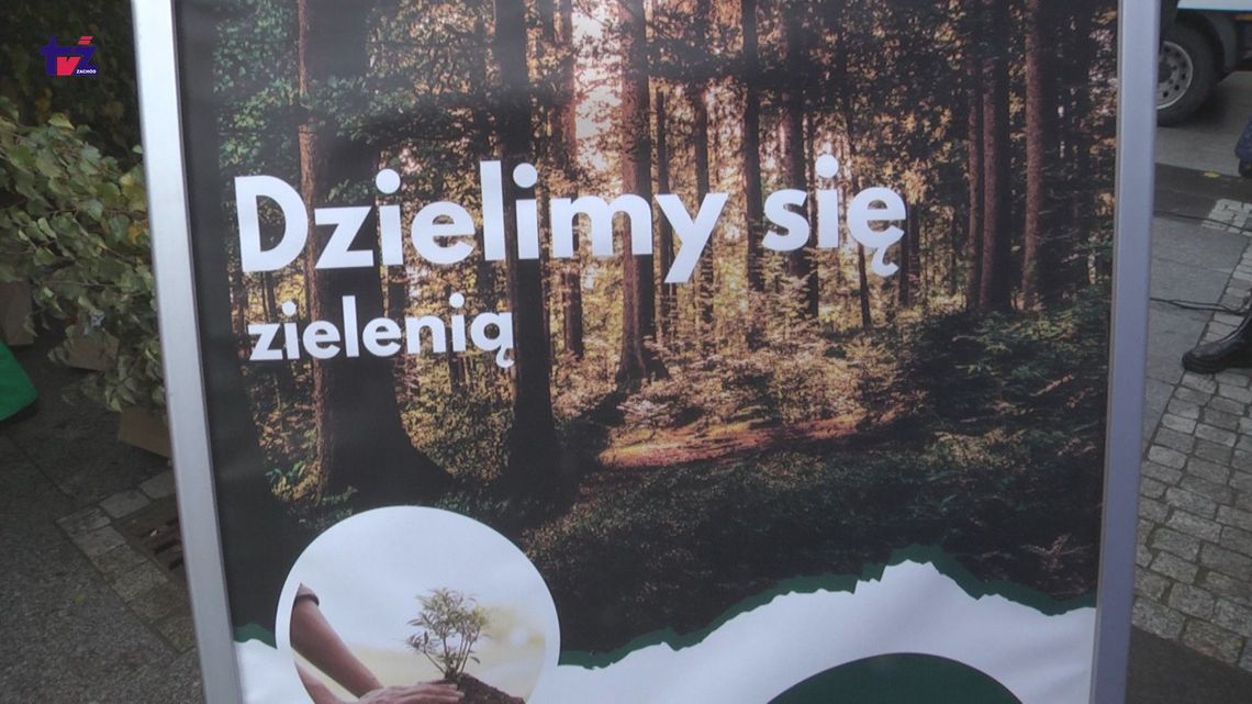 Dzielimy sie zielenią - rozdawano sadzonki 