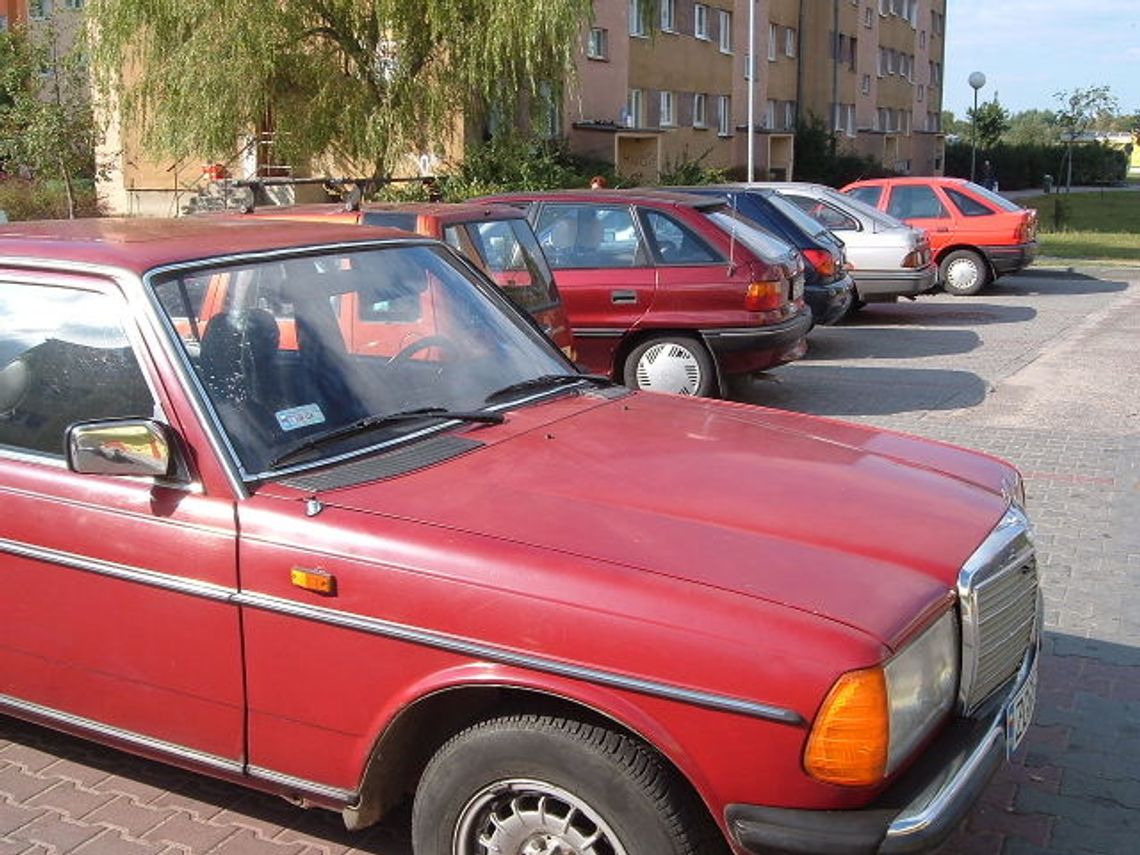 Dzień bez samochodu