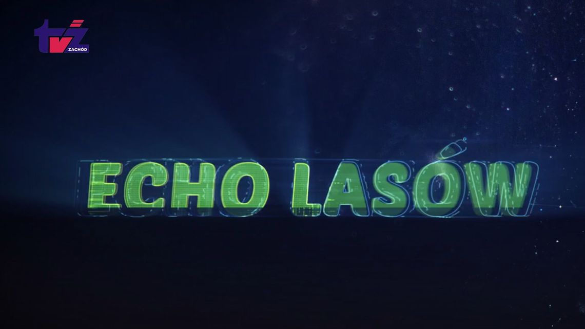 Echa Lasów