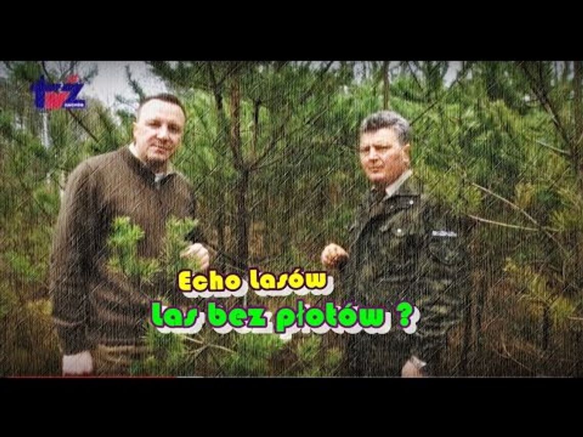 Echo Lasów
