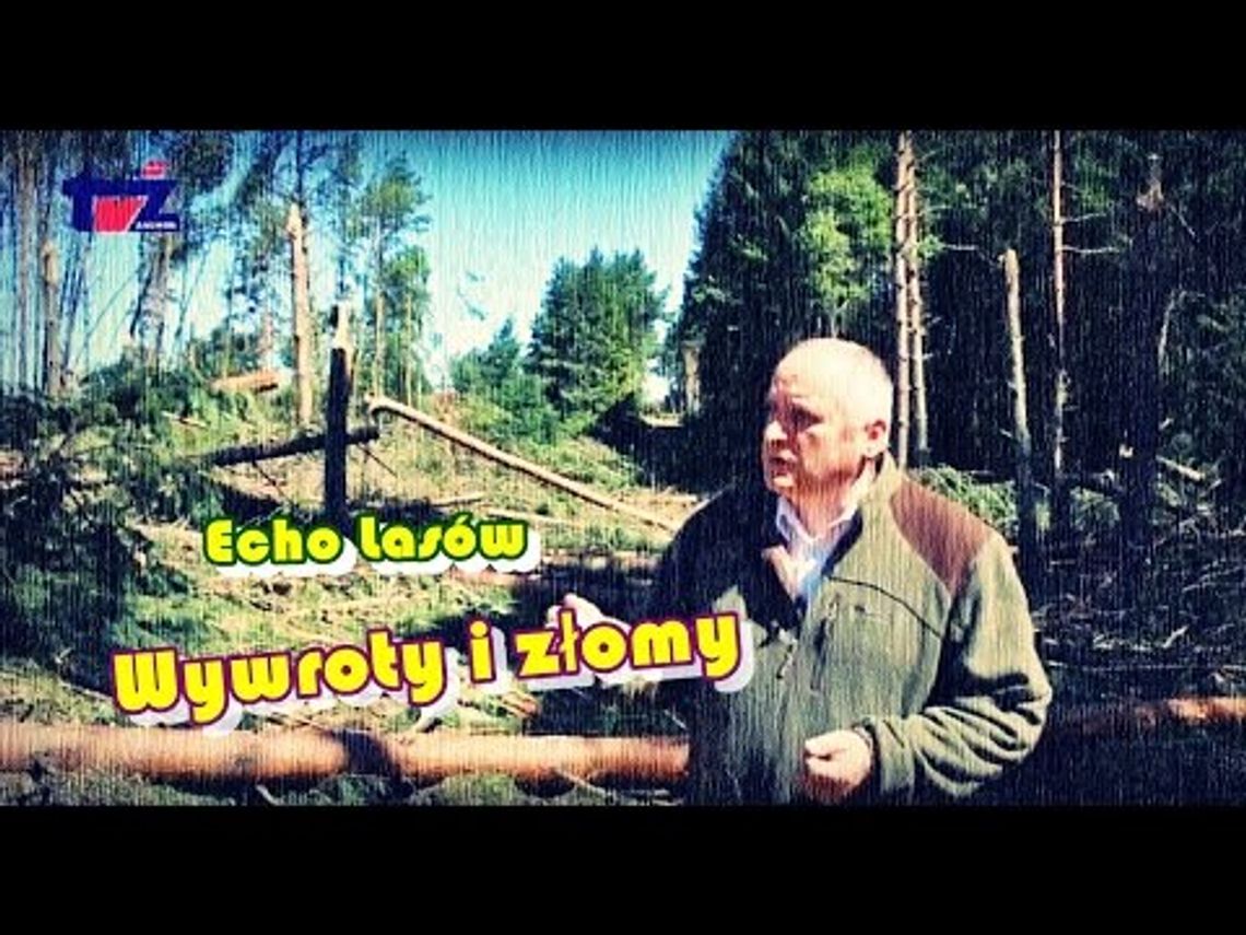 Echo lasów 6
