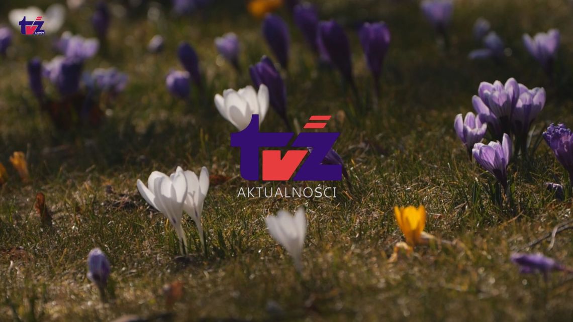 Filmowe Aktualności TV Zachód i program