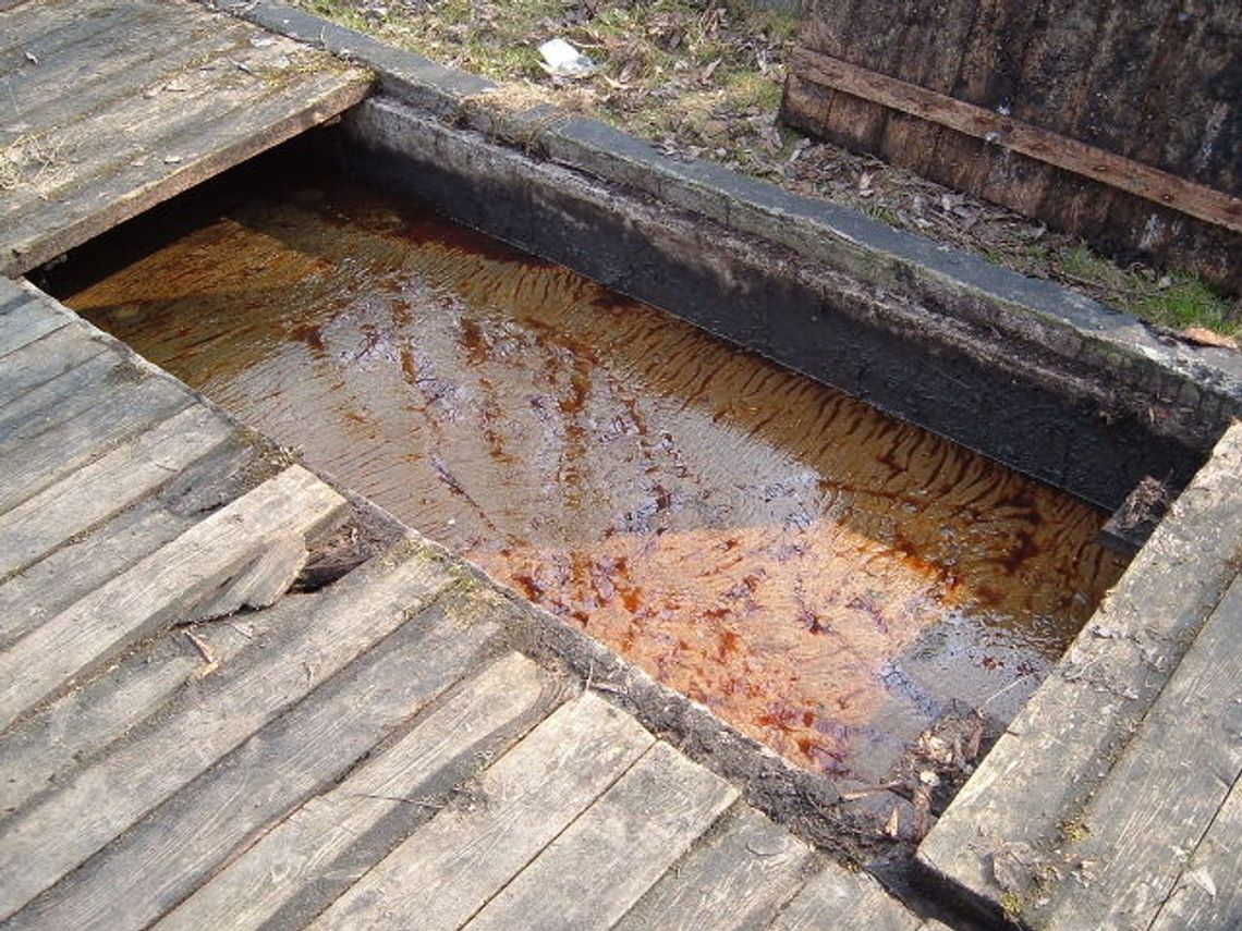 Jezioro znów zatrute