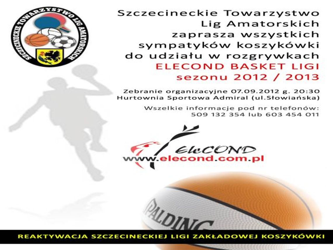 Liga Koszykówki