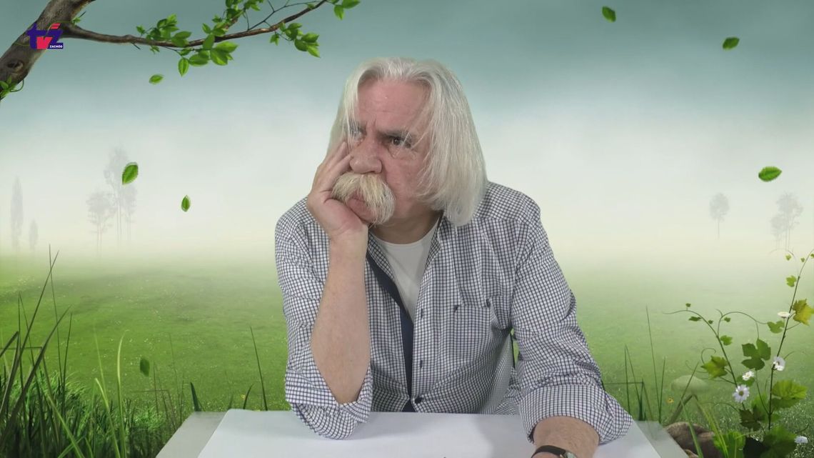Maciek idzie na wybory