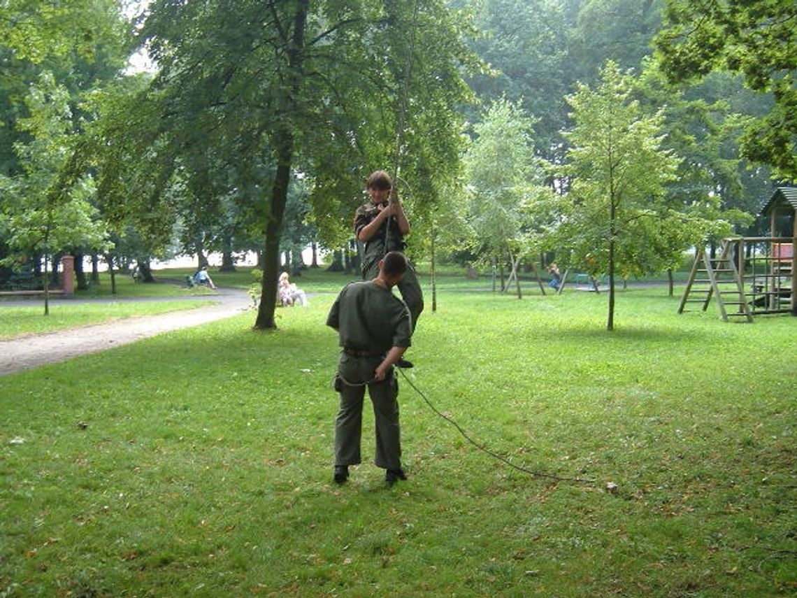 Małpi Gaj w parku
