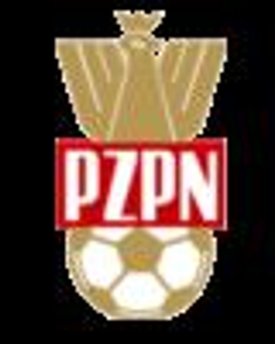Mecz międzypaństwowy