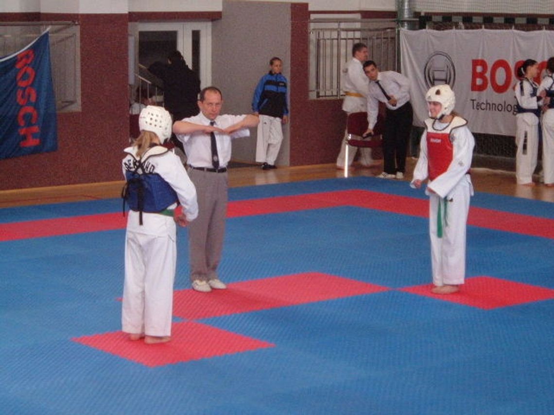 Mistrzostwa w karate