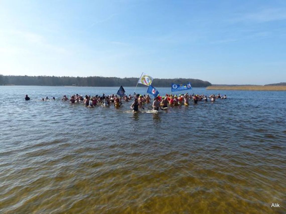 Morsowisko