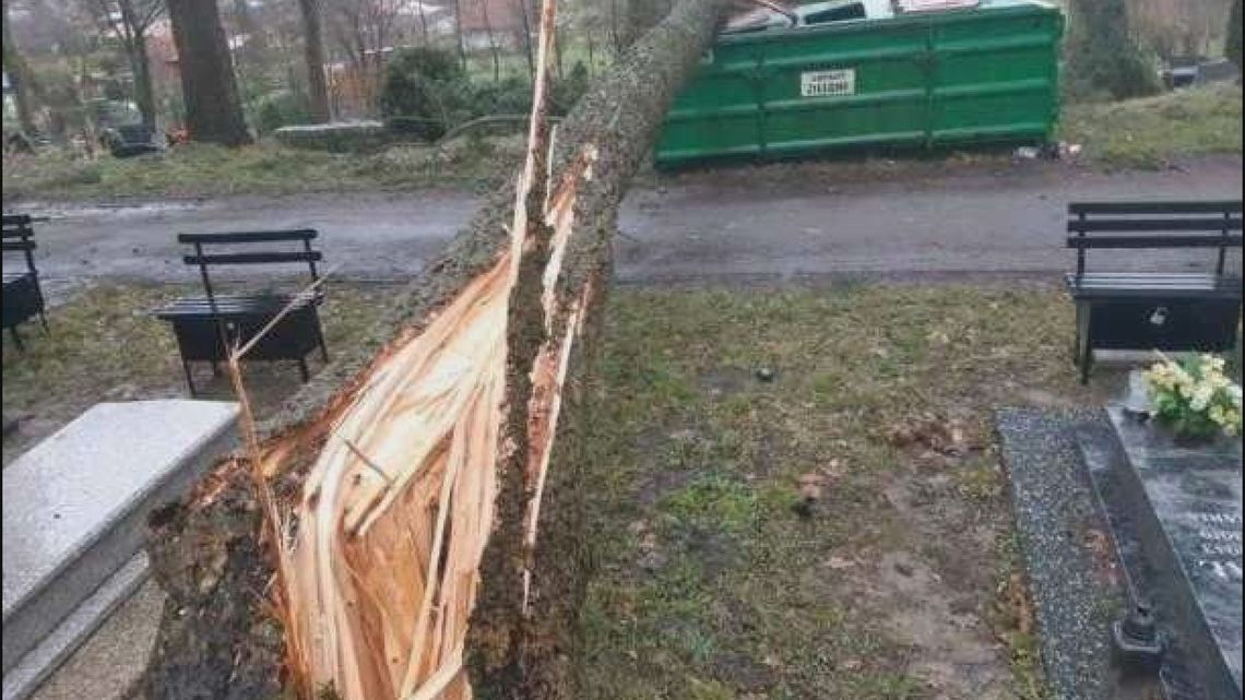 Na cmentarzu niebezpiecznie - zakaz wstępu.