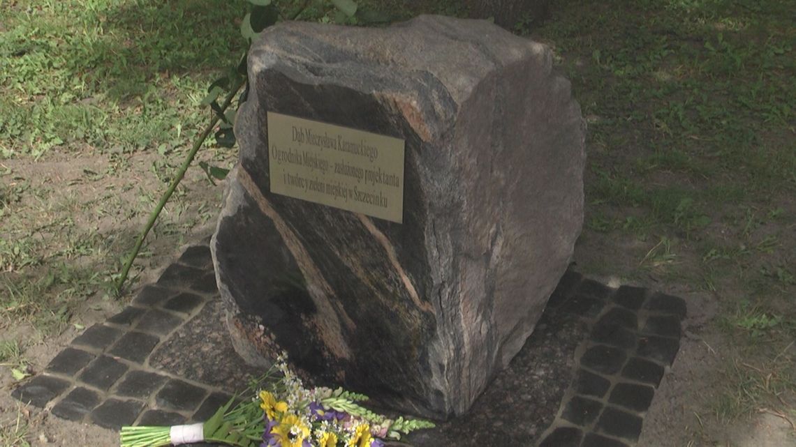 Najpierw dąb, a teraz kamień