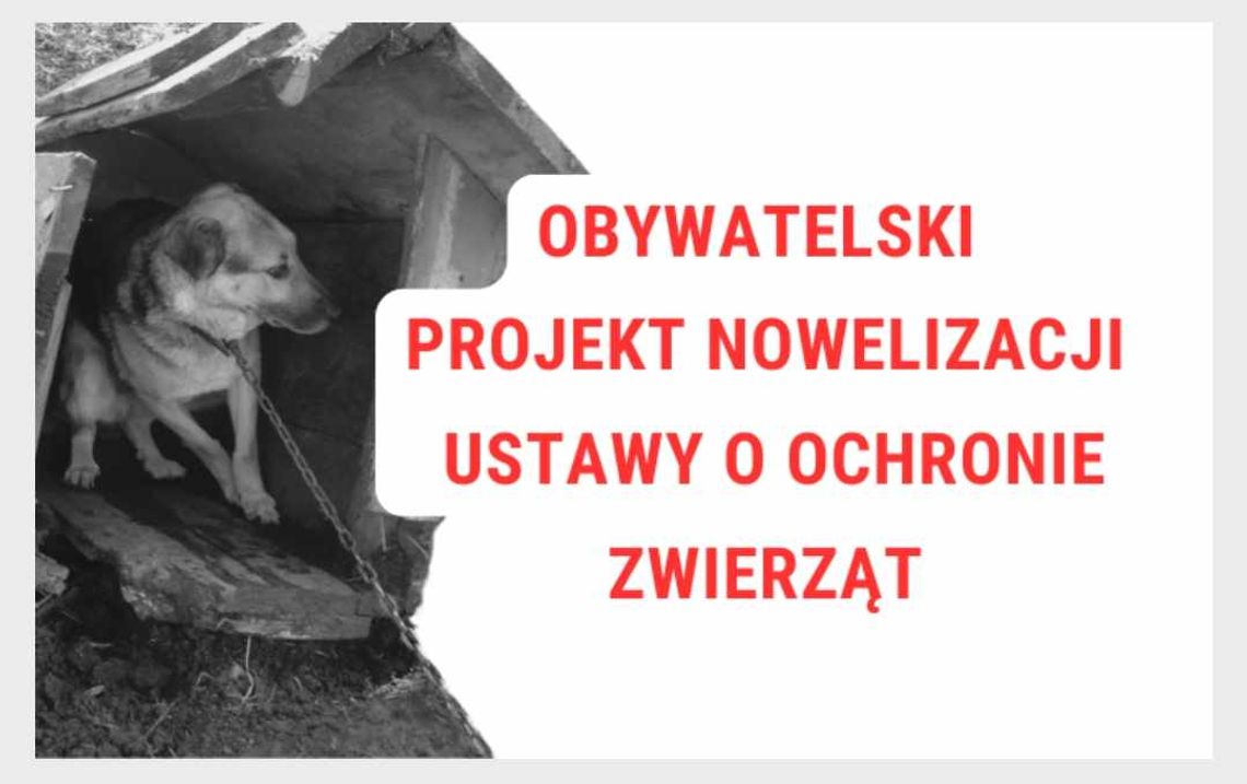 Nowelizacja ustawy o ochronie zwierząt – wesprzyj inicjatywę!