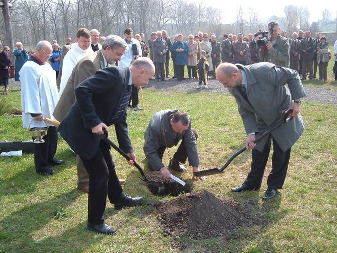 Papieski dąb