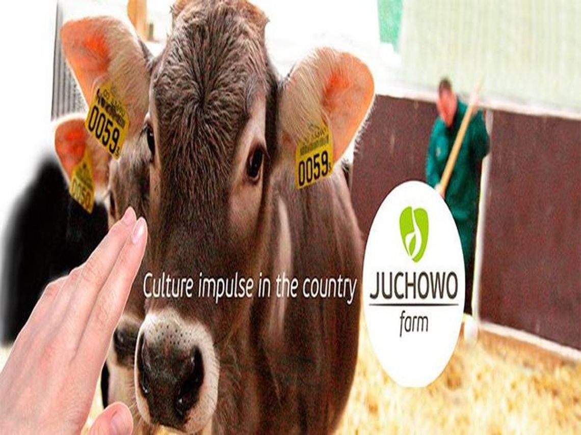 Pieczenie chleba