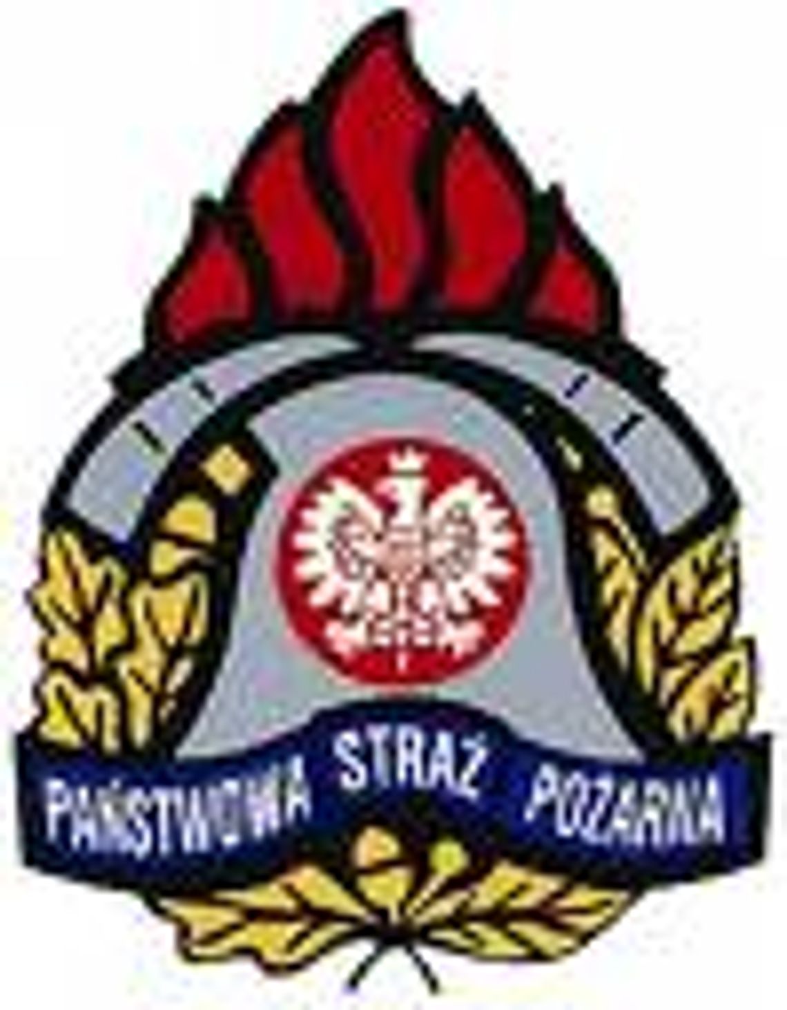 Pokazy ratownictwa