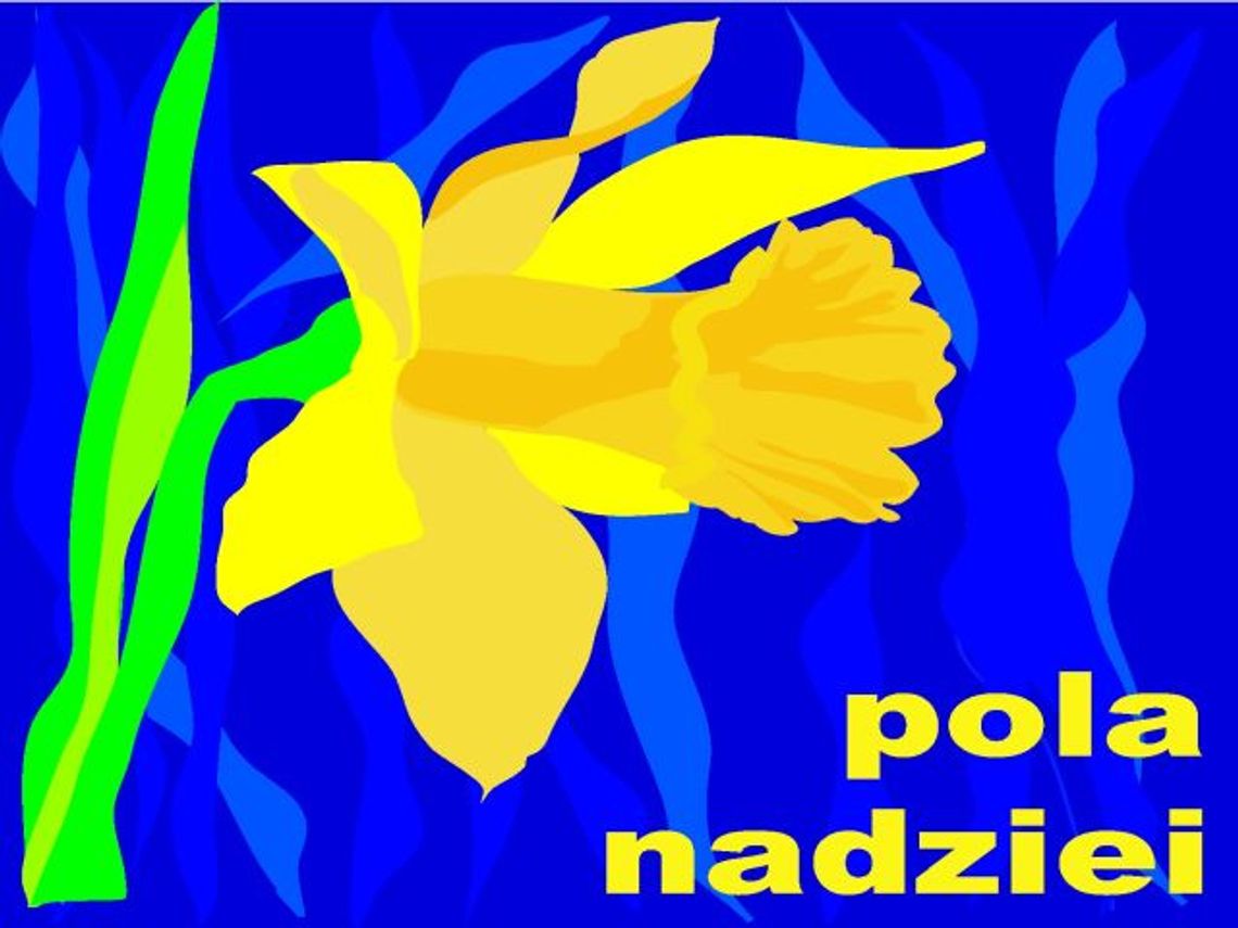 Pola Nadziei