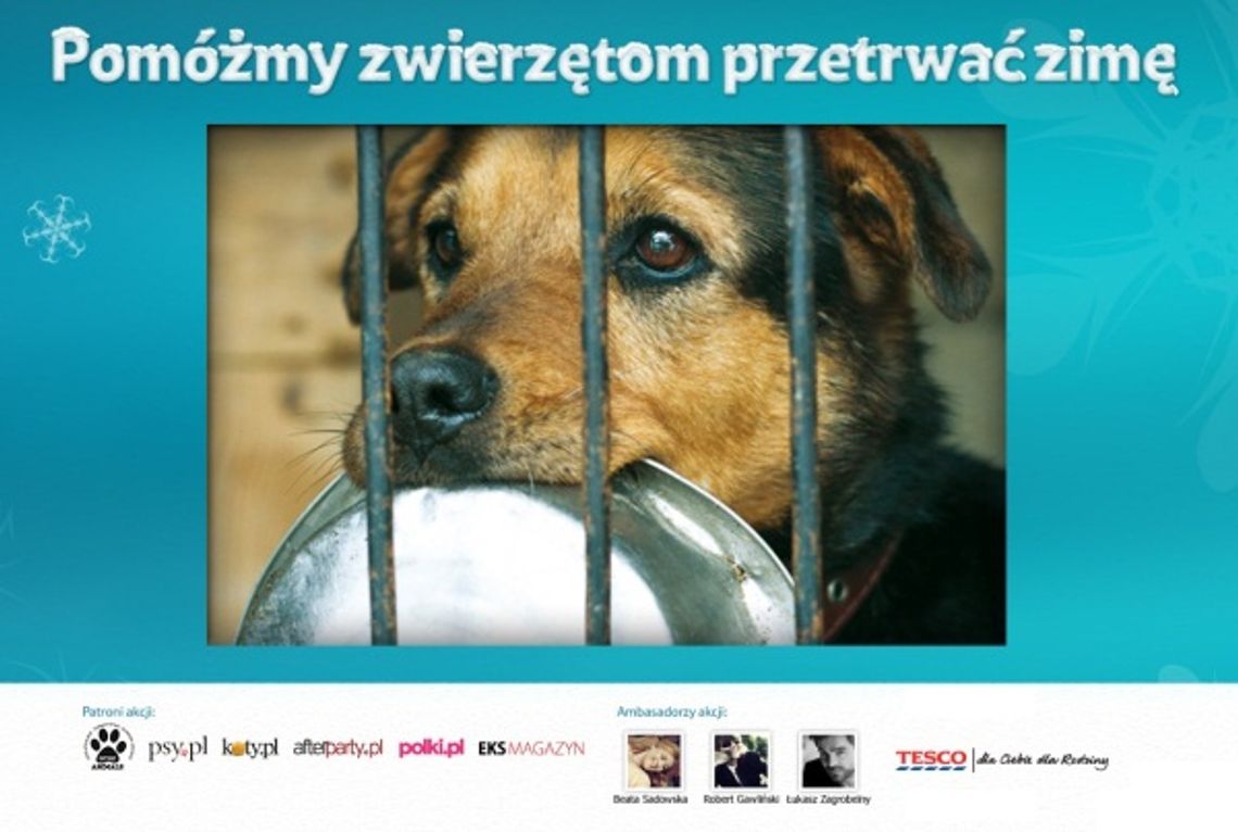 Pomagamy zwierzakom