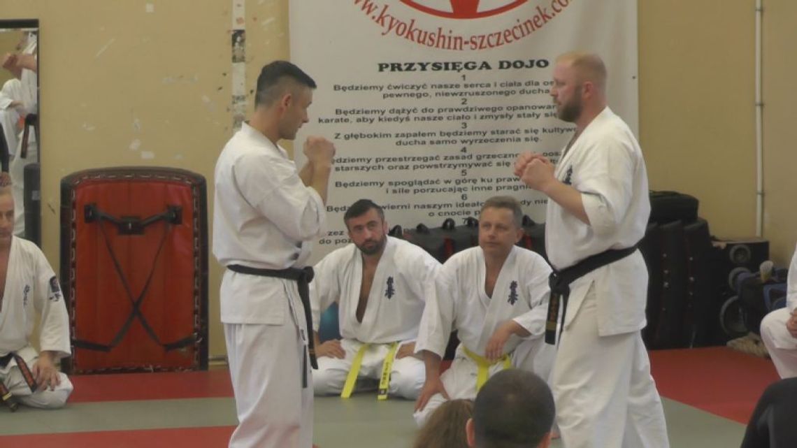 Popularne karate