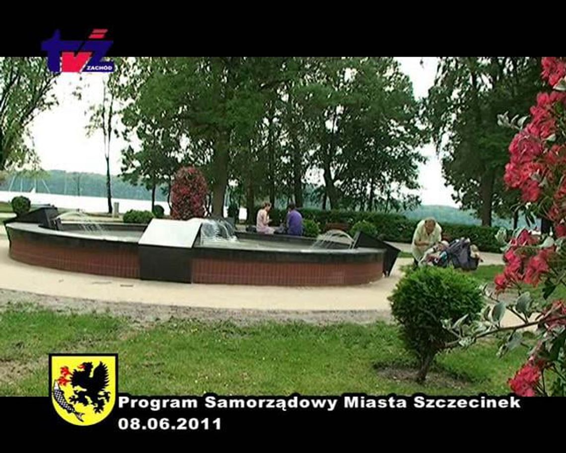 Program Samorządowy