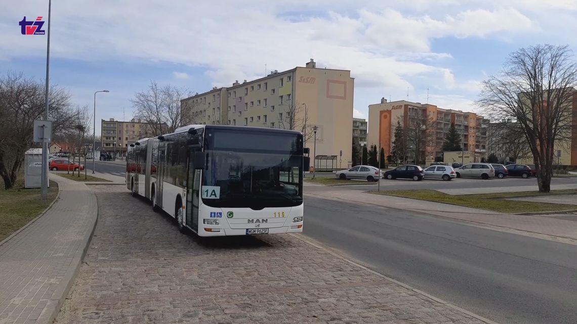 Przegubowiec na ulicach Szczecinka 