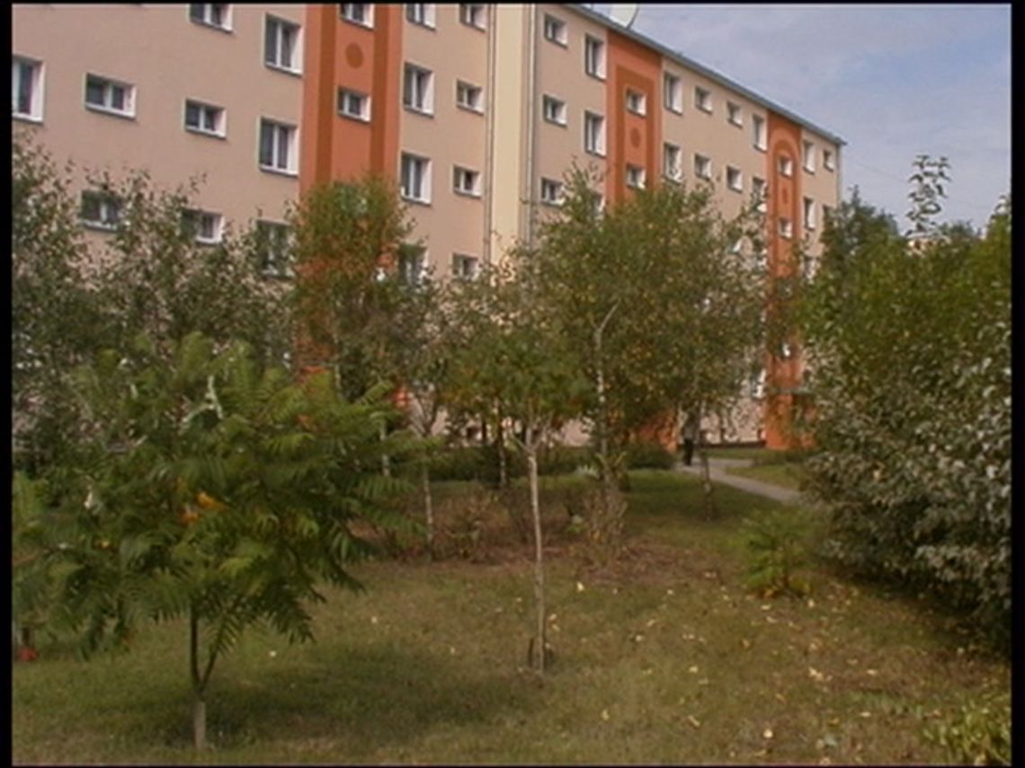 Przyblokowy ogródek