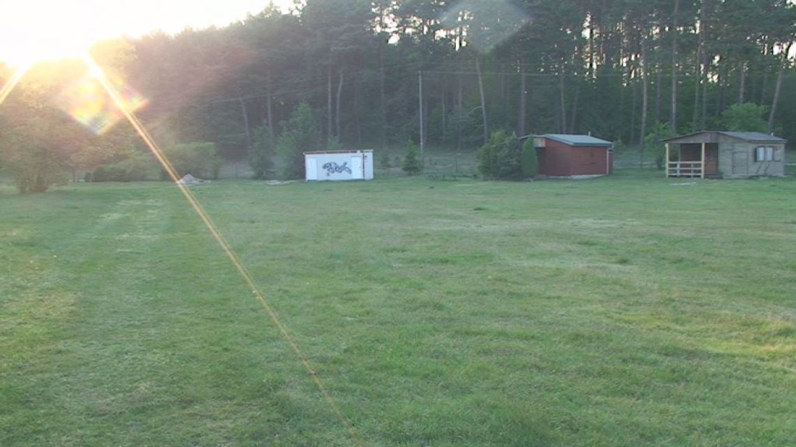 Przyjaciele druhów