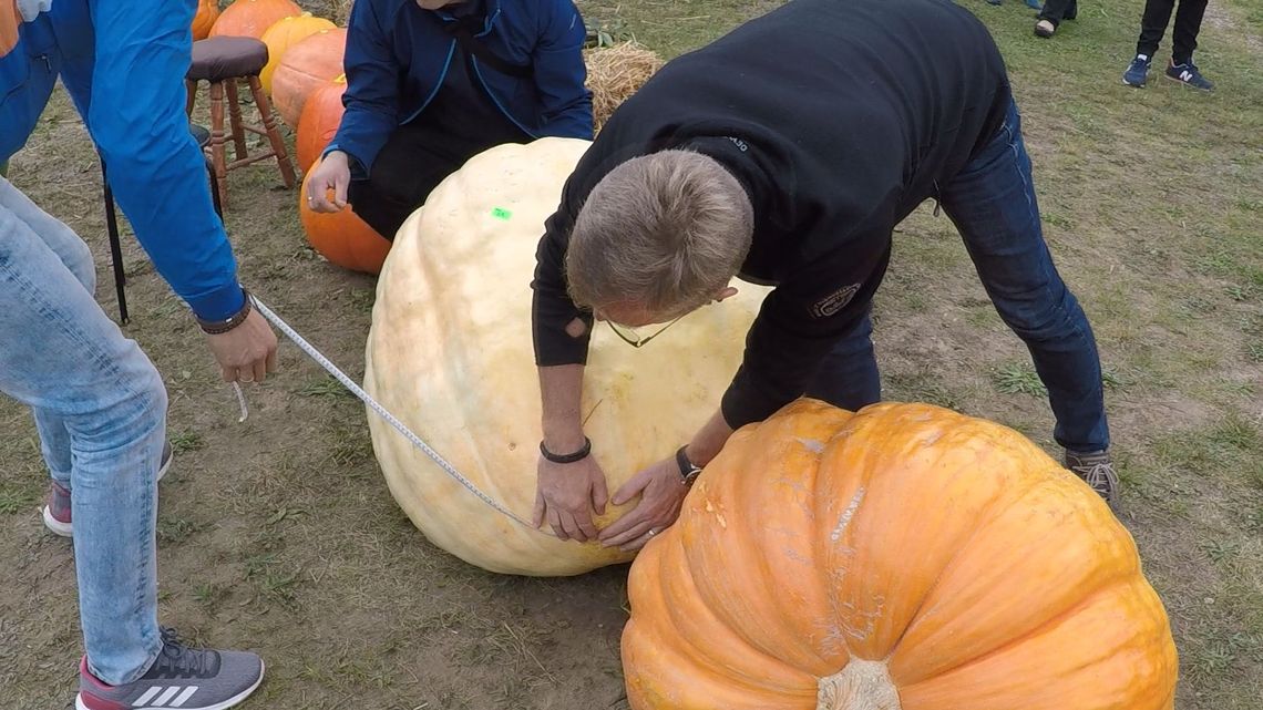 Rodzinny Festiwal Dyni w Radaczu już po raz jedenasty