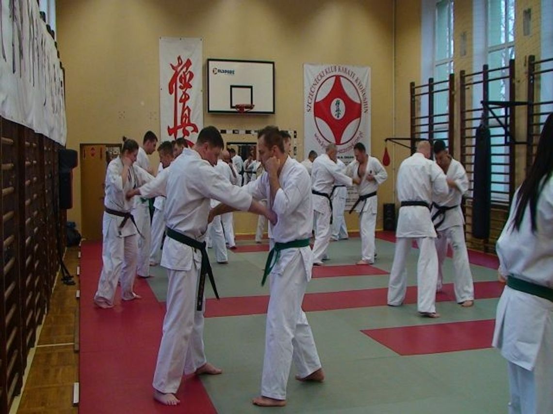 Seminarium karate