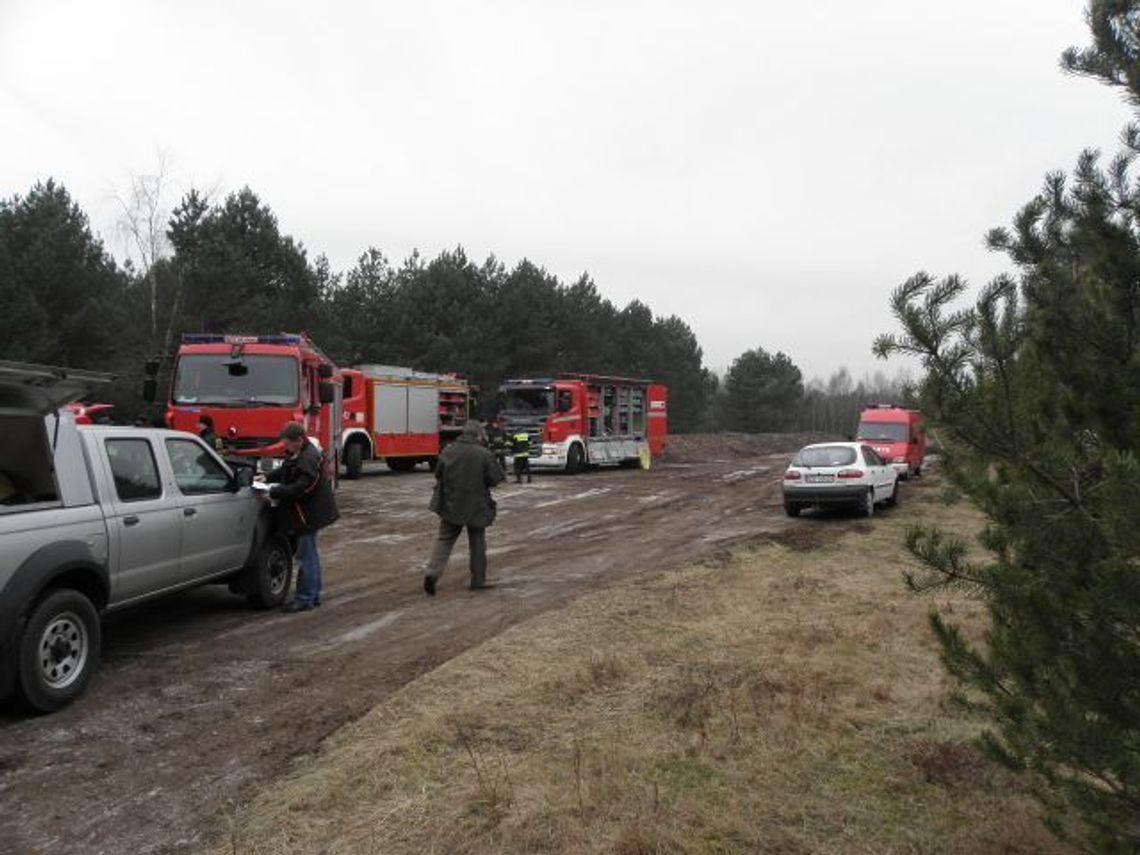 Skarby z poligonu