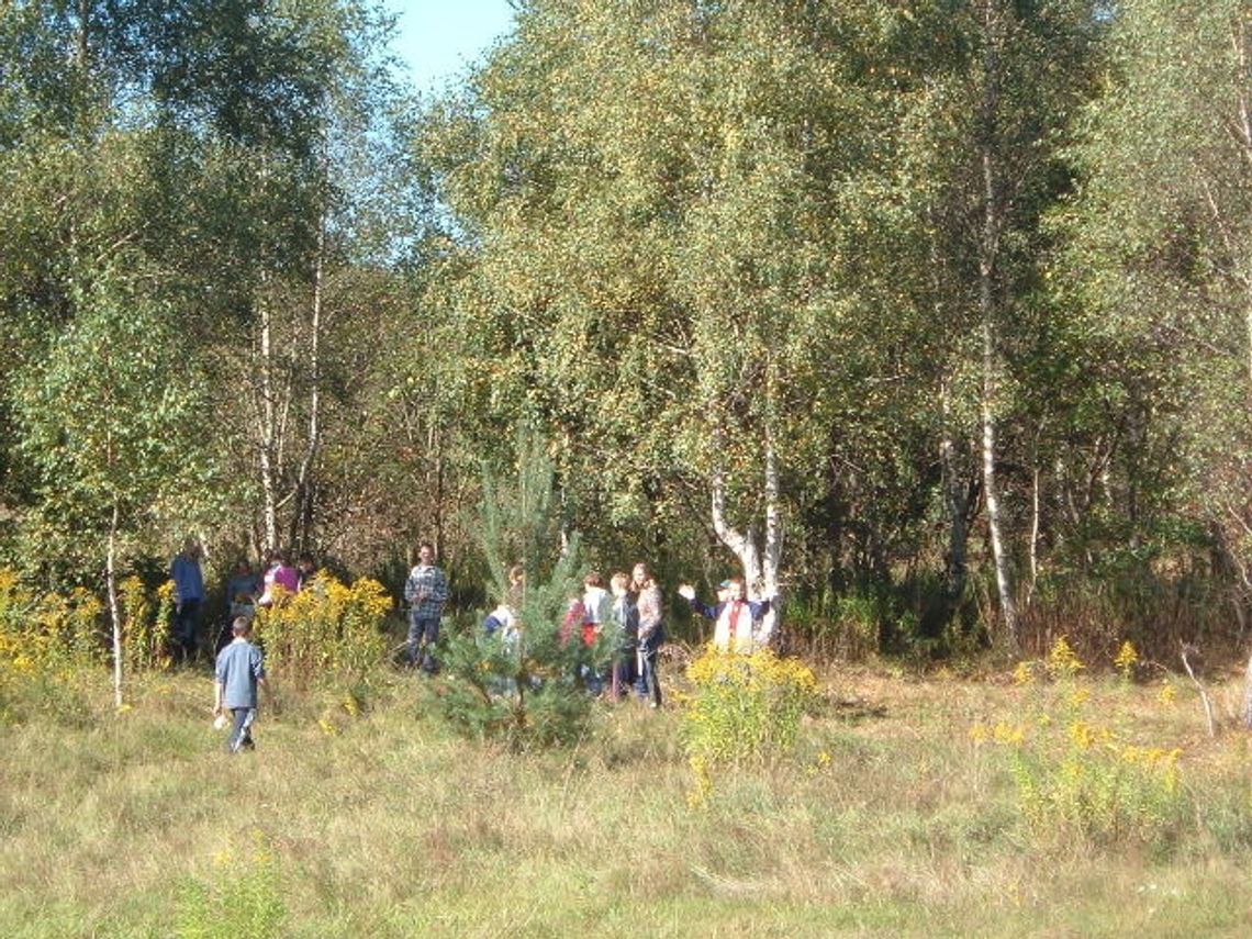 Sprzątali świat