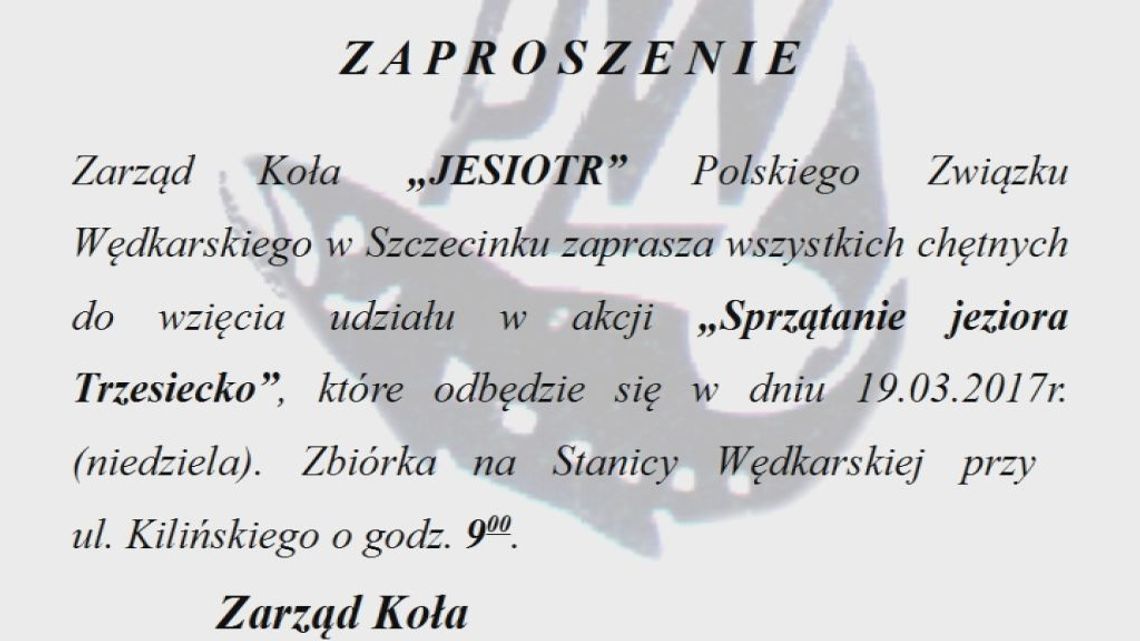 Sprzątanie jeziora