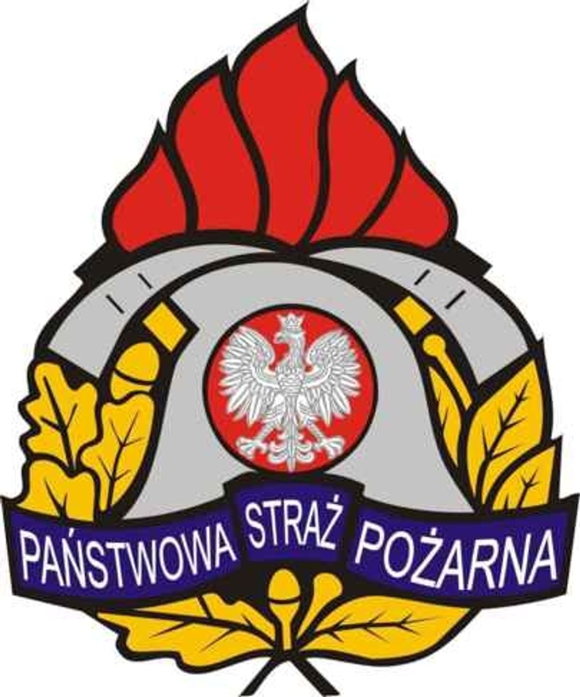 Strażacy proponuja pomoc