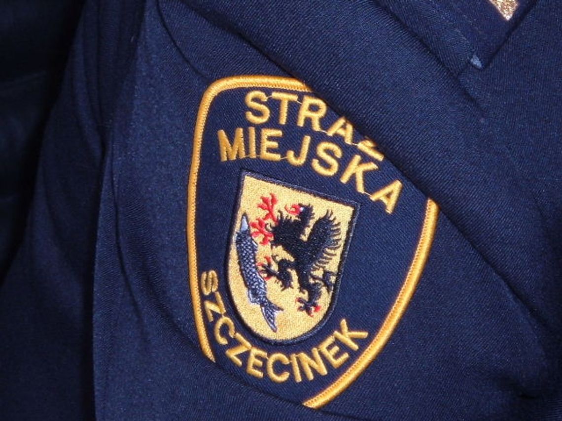 Strażnicy w akcji